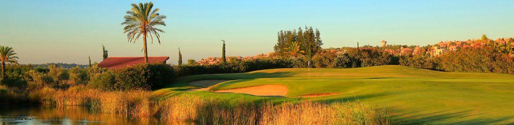 Amendoeira Academy Course cover image